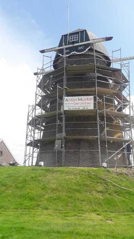 Runder Backsteinturm einer Windmühle, vollständig eingerüstet, an einer Belagebene hängt eine Tafel der Anton Muckel Gerüstbau GmbH